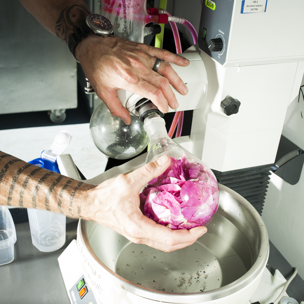 Head Chef R&D Lars Williams extracting rose flavor/water using a rotovap or a rotary evaporator; Noma, Copenhagen, Denmark; Contact: Arve Krognes  +45 32 96 32 97, ak@noma.dk.